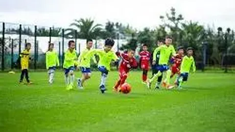 米兰体育 产品 084422 fyn