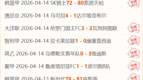 我国雄狮队赛事，吉隆坡球迷享免费接送专车服务