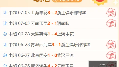 2026独家：20胜13负的传奇模型解析，胜负关键与总分攻略大公开