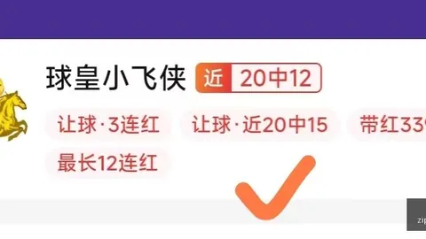 巴西乙赛程解析：巴西球队19胜12，7胜5的异常现象